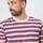 Textil Muži Košile s krátkými rukávy Vans KNOLLWOOD STRIPE Růžová