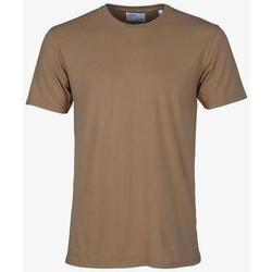 Textil Trička s krátkým rukávem Colorful Standard T-shirt  Sahara Camel Hnědá