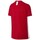Textil Chlapecké Trička s krátkým rukávem Nike Dry Academy Červená