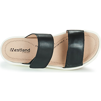 Westland ALBI 03 Černá