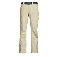 Textil Muži Cargo trousers  Columbia Silver Ridge II Cargo Pant Béžová