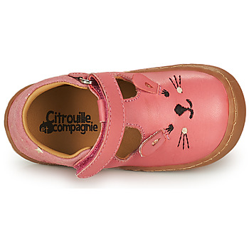 Citrouille et Compagnie NEW 56 Růžová