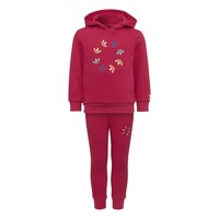Textil Dívčí Set adidas Originals HOODIE SET Růžová
