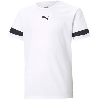 Textil Chlapecké Trička s krátkým rukávem Puma Teamrise Jersey Bílá