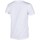 Textil Ženy Trička s krátkým rukávem Champion Crewneck Tshirt Bílá