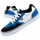 Boty Muži Skejťácké boty DC Shoes Rowlan Bílé, Modré