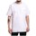 Textil Muži Trička s krátkým rukávem Vans MN Color Multiplier Bílá