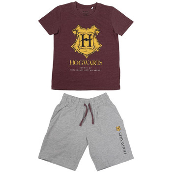 Textil Chlapecké Pyžamo / Noční košile Harry Potter 2200007016 Červená