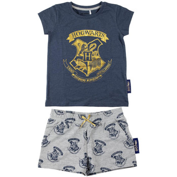 Textil Dívčí Pyžamo / Noční košile Harry Potter 2200007021 Modrá