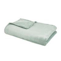 Bydlení Potahy / přehozy Today Plaid XL Microplush 150/200 Polyester TODAY Essential Celadon Zelená