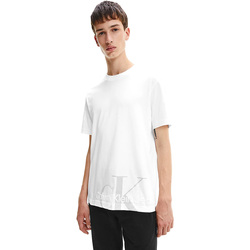 Textil Muži Trička s krátkým rukávem Calvin Klein Jeans J30J319719 Bílá