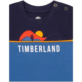 Timberland  Modrá