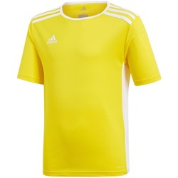 Textil Chlapecké Trička s krátkým rukávem adidas Originals JR Entrada 18 Žlutá