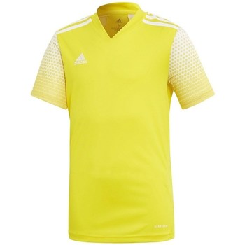 Textil Chlapecké Trička s krátkým rukávem adidas Originals Regista 20 Jersey Žlutá