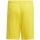 Textil Chlapecké Tříčtvrteční kalhoty adidas Originals JR Squadra 21 Žlutá