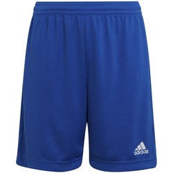 Textil Chlapecké Tříčtvrteční kalhoty adidas Originals Entrada 22 Modrá