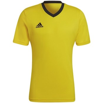 Textil Muži Trička s krátkým rukávem adidas Originals Entrada 22 Žlutá