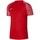 Textil Muži Trička s krátkým rukávem Nike Drifit Academy Červená