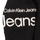 Textil Chlapecké Mikiny Calvin Klein Jeans INSTITUTIONAL LINED LOGO HOODIE Černá