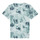 Textil Děti Trička s krátkým rukávem Calvin Klein Jeans TIE DYE AOP T-SHIRT           