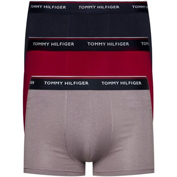 Spodní prádlo Muži Boxerky Tommy Hilfiger 1U87903842           