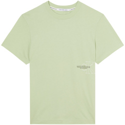 Textil Muži Trička s krátkým rukávem Calvin Klein Jeans J30J320193 Zelená