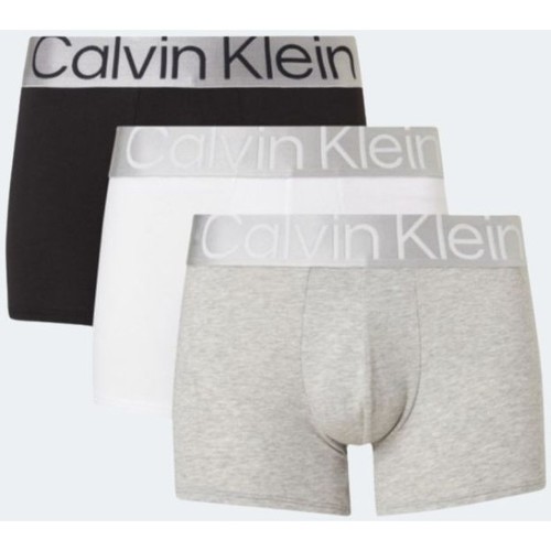 Spodní prádlo Muži Trenýrky Calvin Klein Jeans 000NB3130A           
