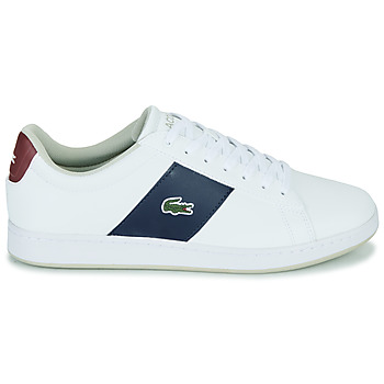 Lacoste CARNABY