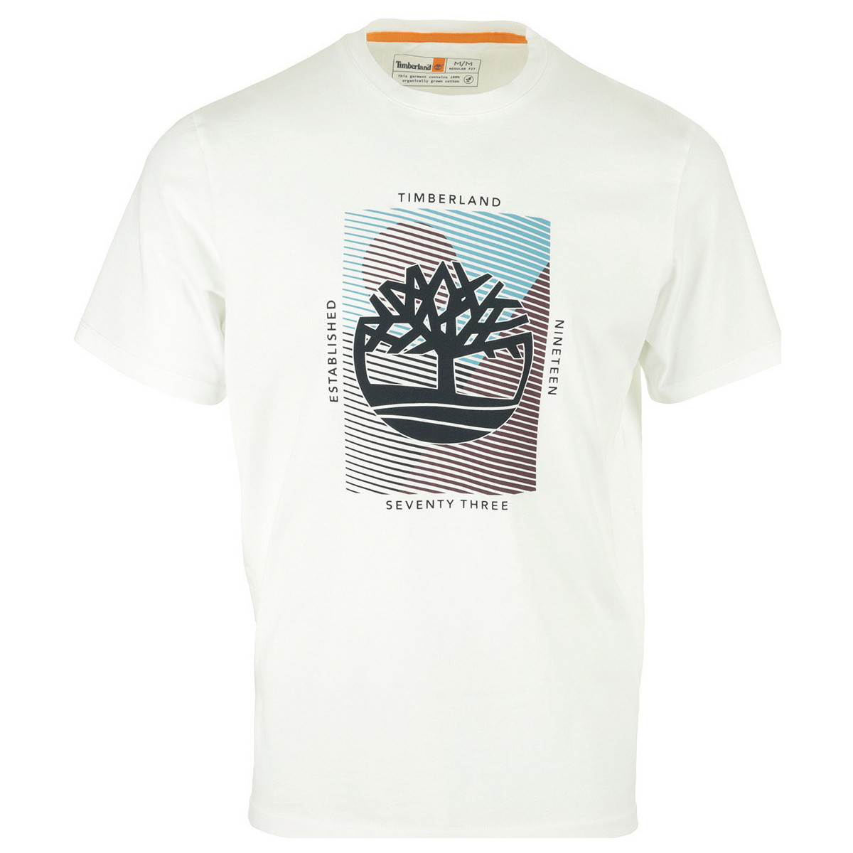 Textil Muži Trička s krátkým rukávem Timberland Graphic Branded Tee Bílá