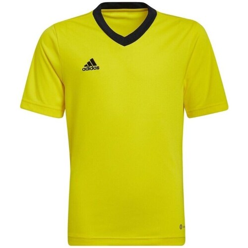 Textil Muži Trička s krátkým rukávem adidas Originals Entrada 22 Žlutá