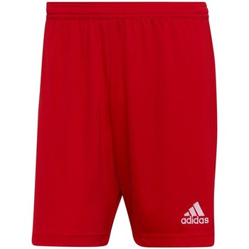 Textil Muži Tříčtvrteční kalhoty adidas Originals Entrada 22 Červená