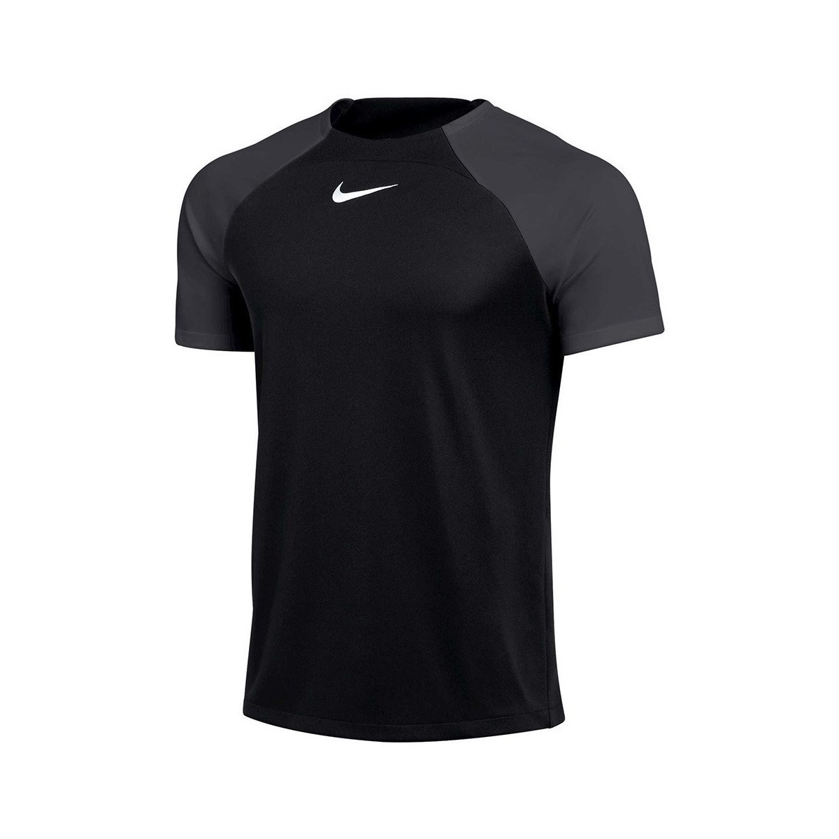 Textil Muži Trička s krátkým rukávem Nike Drifit Adacemy Pro Černá