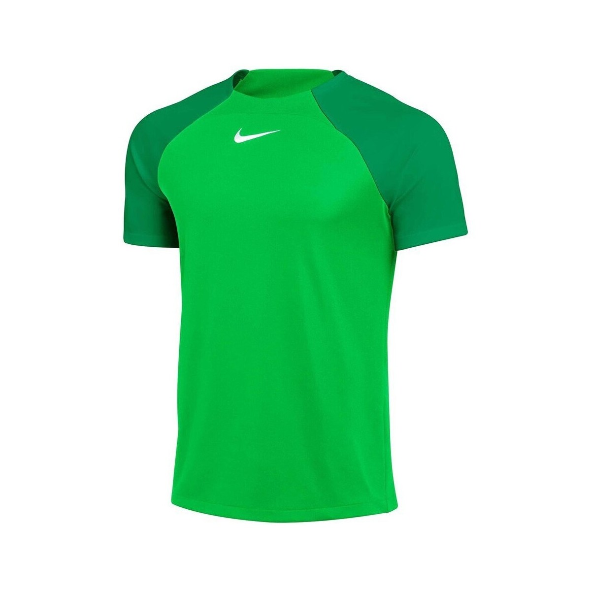 Textil Muži Trička s krátkým rukávem Nike Drifit Adacemy Pro Zelená