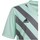Textil Chlapecké Trička s krátkým rukávem adidas Originals Entrada 22 Graphic Jersey Šedé, Zelené