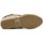 Boty Ženy Sandály Wild 0611601A hnědé dámské sandály Hnědá