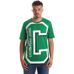 Textil Muži Trička s krátkým rukávem Calvin Klein Jeans J30J312118 Zelená
