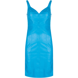Textil Ženy Krátké šaty Pinko 1G160W 7105 | Pudico Abito Modrá