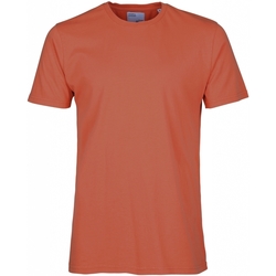 Textil Trička s krátkým rukávem Colorful Standard T-shirt  Classic Organic dark amber Červená
