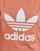 Textil Ženy Trička s krátkým rukávem adidas Originals TREFOIL TEE Terakotová
