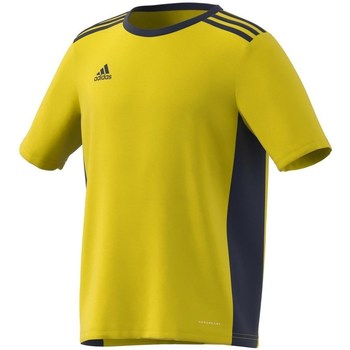 Textil Chlapecké Trička s krátkým rukávem adidas Originals Entrada 18 Černé, Žluté
