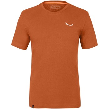 Textil Muži Trička & Pola Salewa Pure Dolomites Hemp Men's T-Shirt 28329-4170 Oranžová