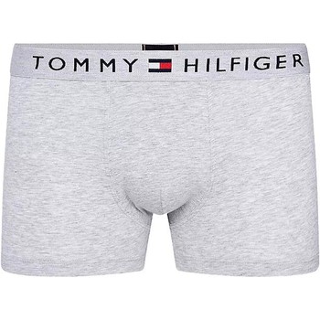 Textil Muži Pyžamo / Noční košile Tommy Jeans CALZONCILLOS GRISES TRUNK TOMMY HILFIGER 01646 Šedá