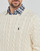 Textil Muži Svetry Polo Ralph Lauren LS DRIVER CN-LONG SLEEVE-SWEATER Krémově bílá