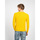 Textil Muži Svetry Antony Morato MMSW01180 YA200070 Žlutá