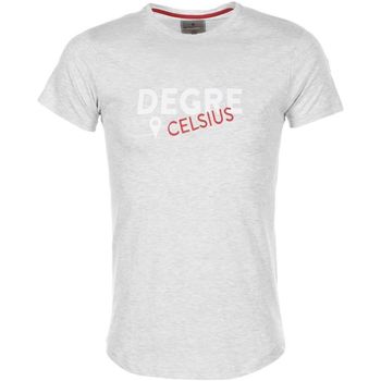 Textil Muži Trička s krátkým rukávem Degré Celsius T-shirt manches courtes homme CALOGO Šedá