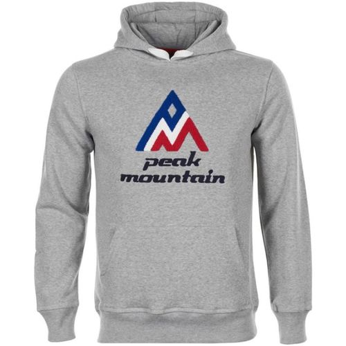Textil Muži Mikiny Peak Mountain Sweat à capuche homme CODRIVER Šedá