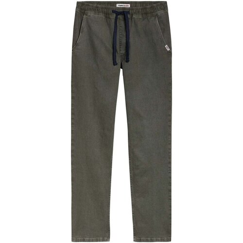 Textil Muži Kalhoty Tommy Jeans DM0DM12762 Zelená