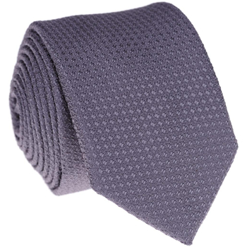 Textil Muži Kravaty a doplňky Chattier Pánská kravata Cooper šedá Šedá
