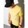 Textil Muži Trička s krátkým rukávem Ombre Pánské basic tričko Peterin žlutá Žlutá