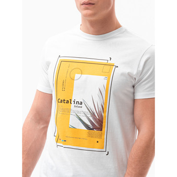 Textil Muži Trička s krátkým rukávem Ombre Pánské tričko s potiskem Valle bílá M Bílá